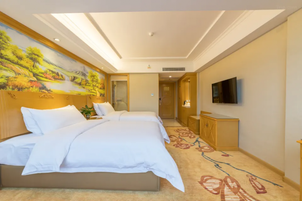 Vienna Hotel (Yongfu South High Speed Railway Station) 5/15