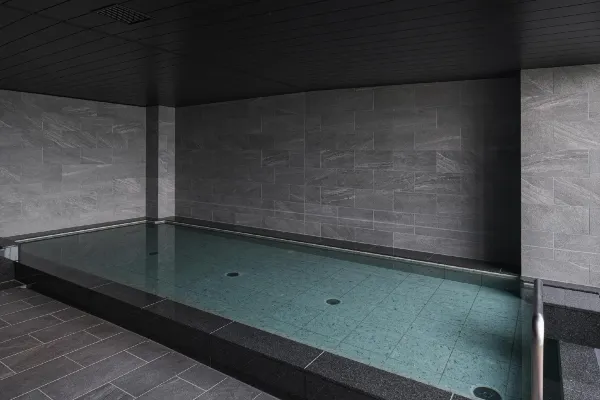 REF Kansai Airport by Vessel Hotels 45/79