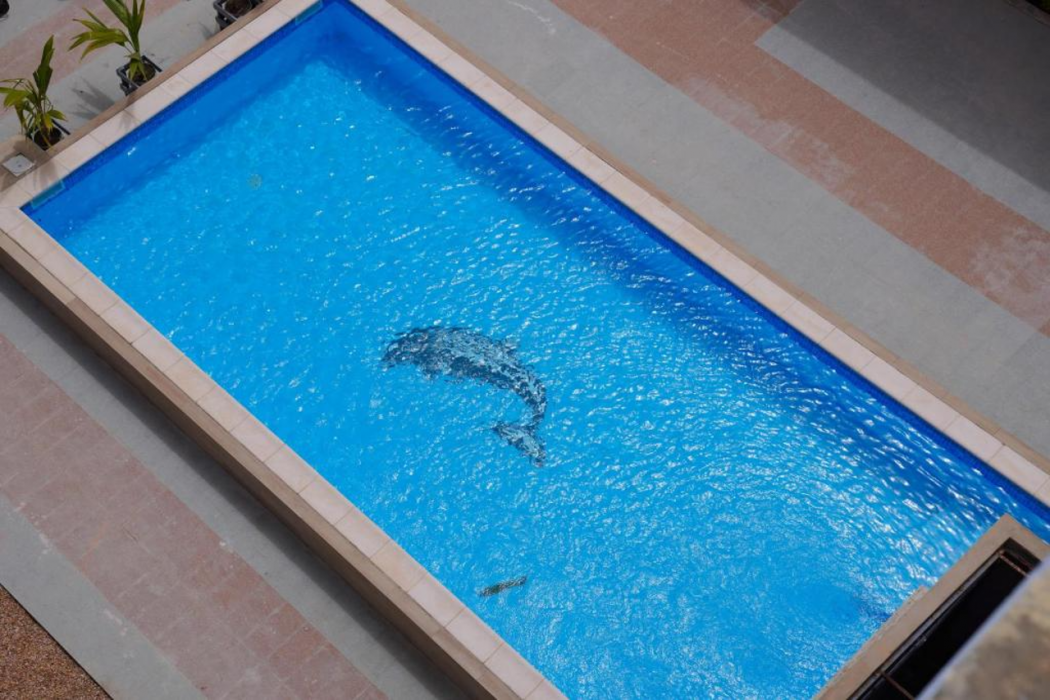 Hotel Dialali 8/8
