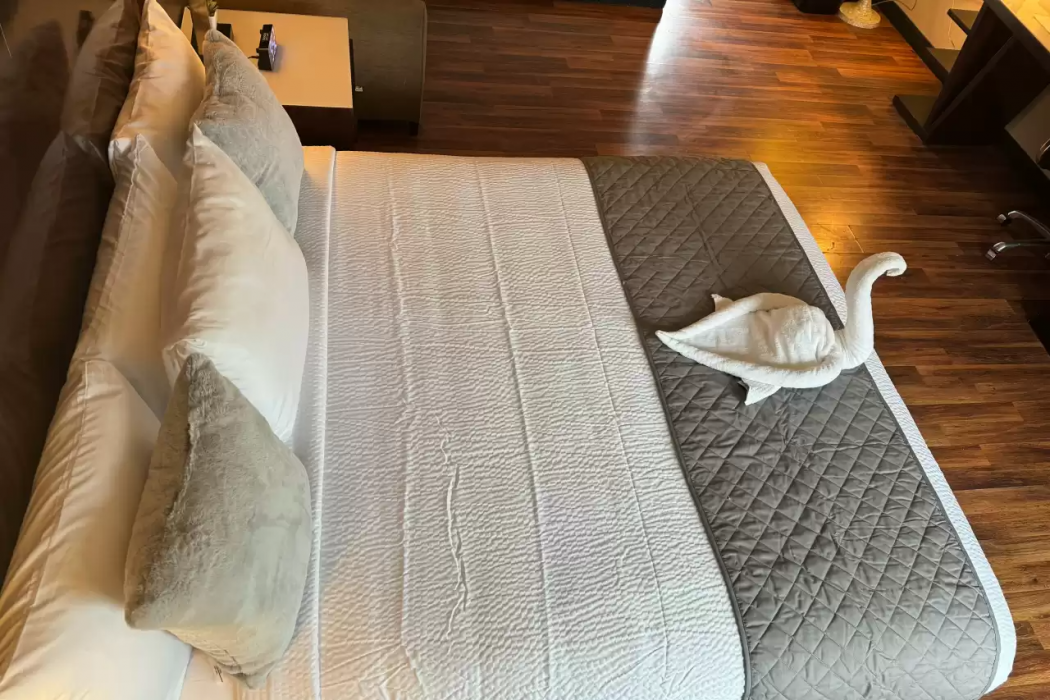 Quality Inn and Suites Jackson CA 15/45