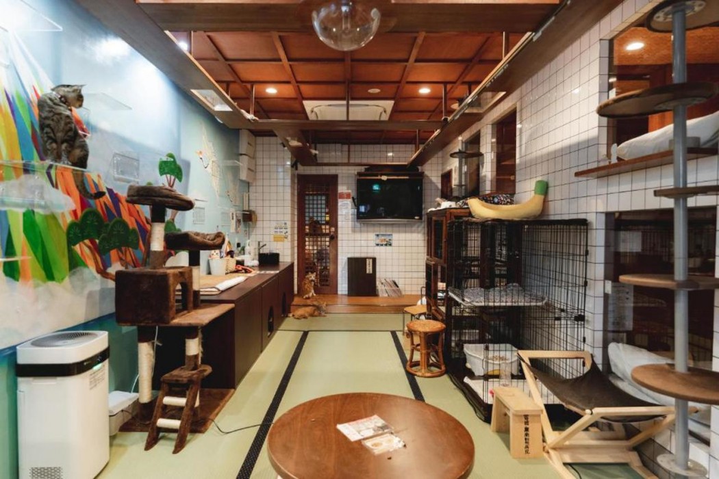 Cat Spa & Cat Ryokan Neco Republic Osaka 17/37