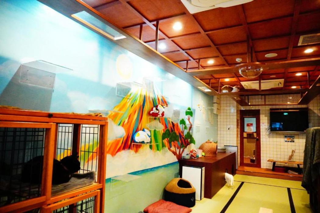Cat Spa & Cat Ryokan Neco Republic Osaka 16/37