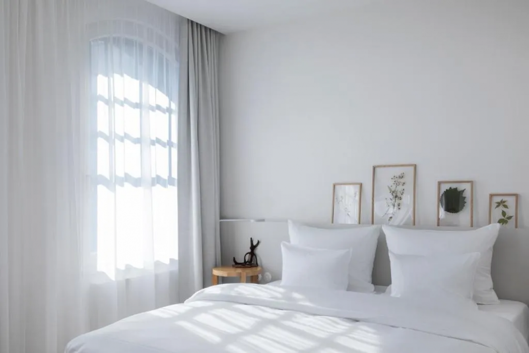 Wilmina Hotel 15/69