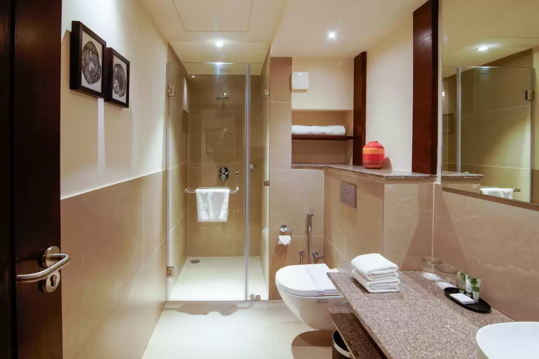 Comfort Inn Dehradun 15/31
