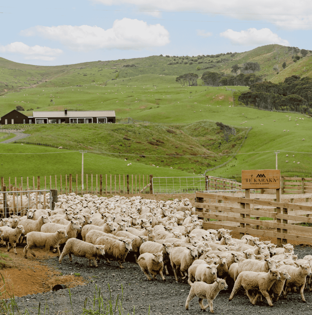 Te Karaka Lodge in WAIKATO