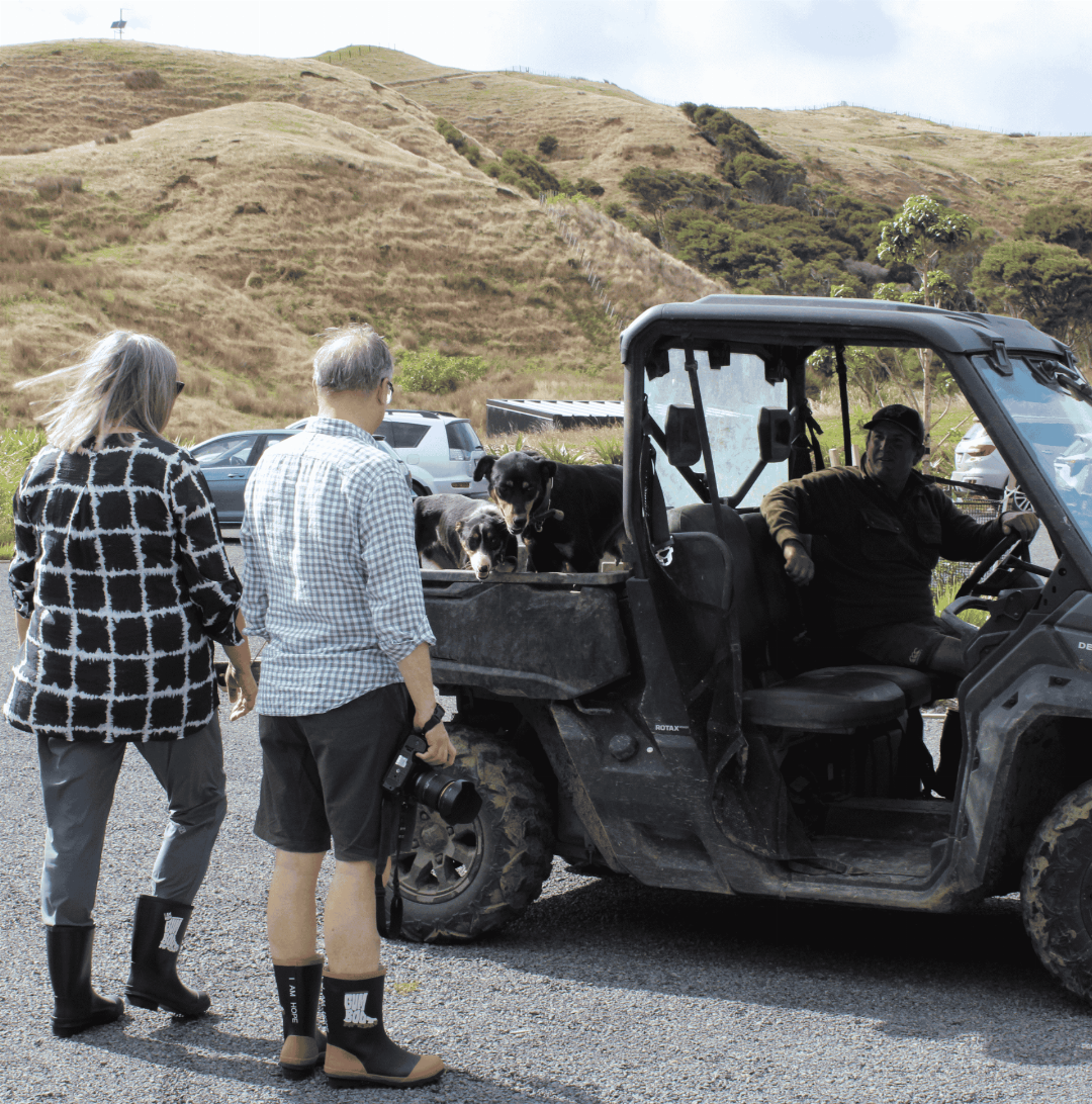 Te Karaka Lodge 22/58
