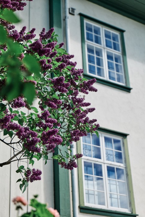 Herregarden Hoel - En perle ved Mjosa 6/19