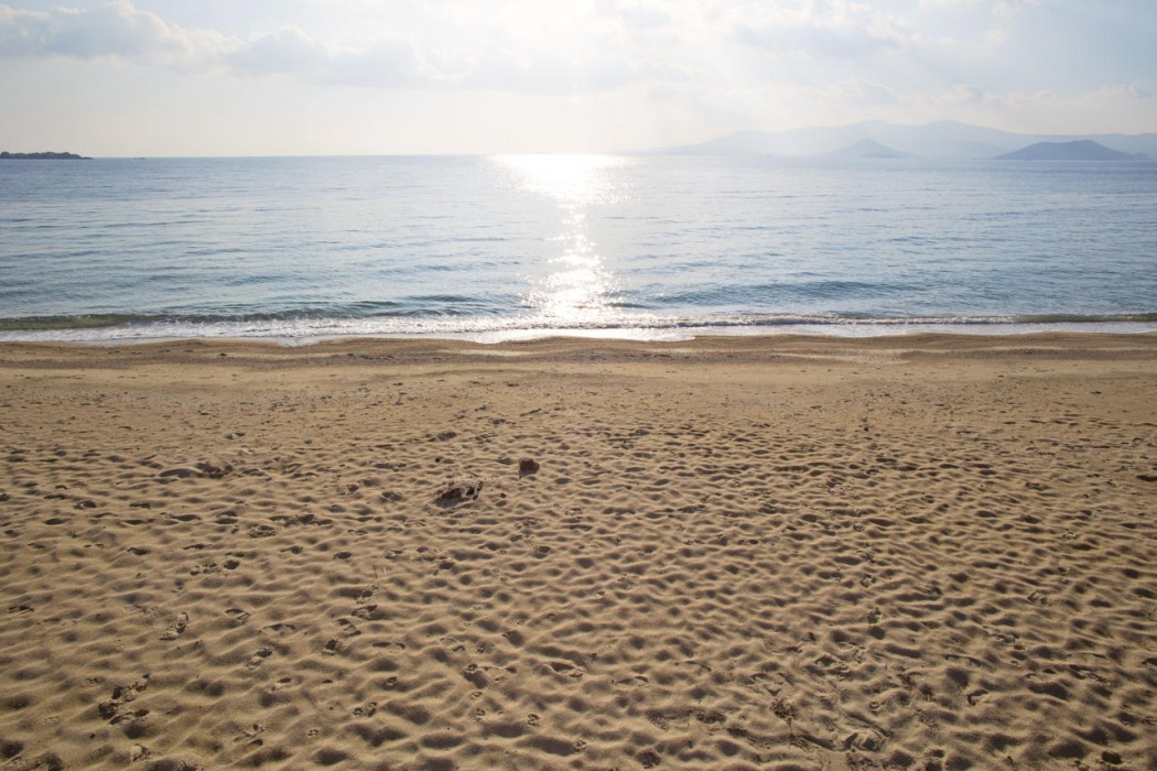 Marine Dream 122/152