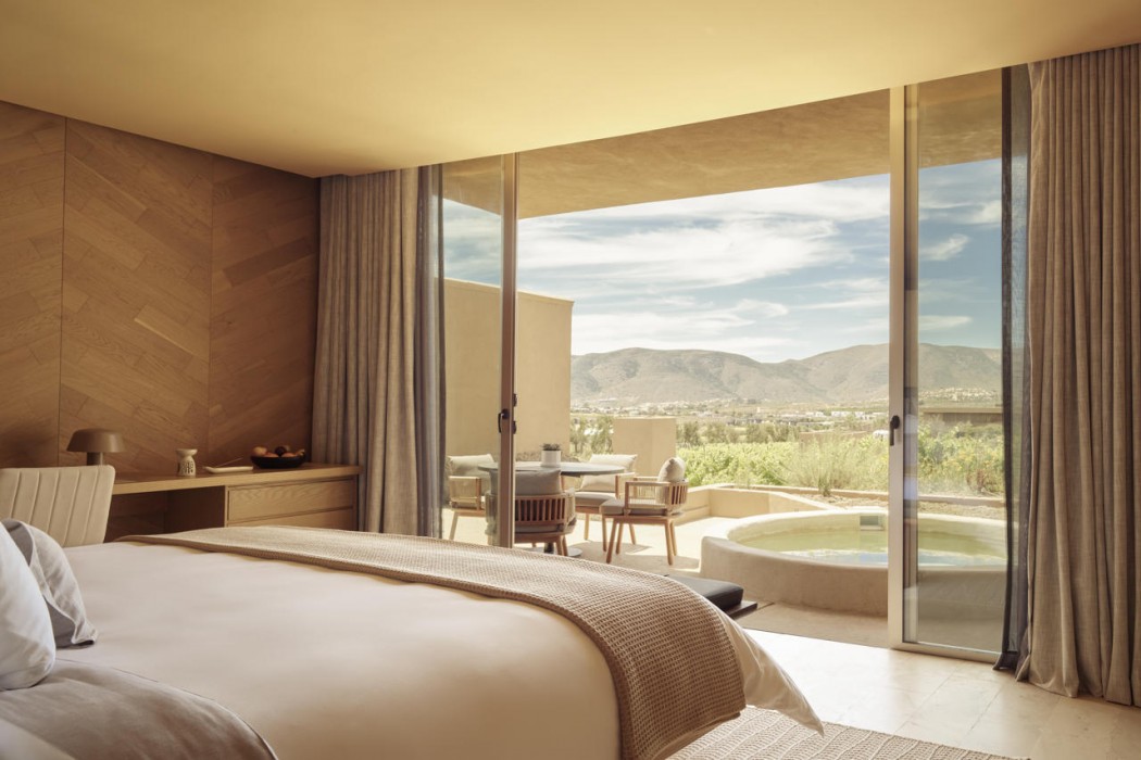 Banyan Tree Veya Valle de Guadalupe 30/91