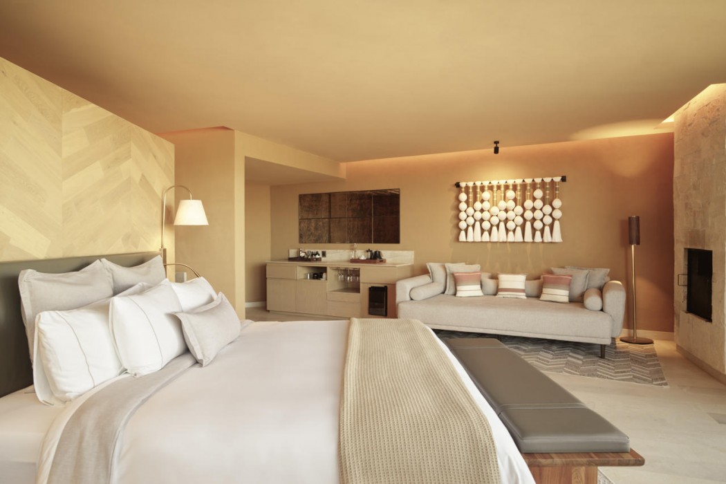 Banyan Tree Veya Valle de Guadalupe 16/91