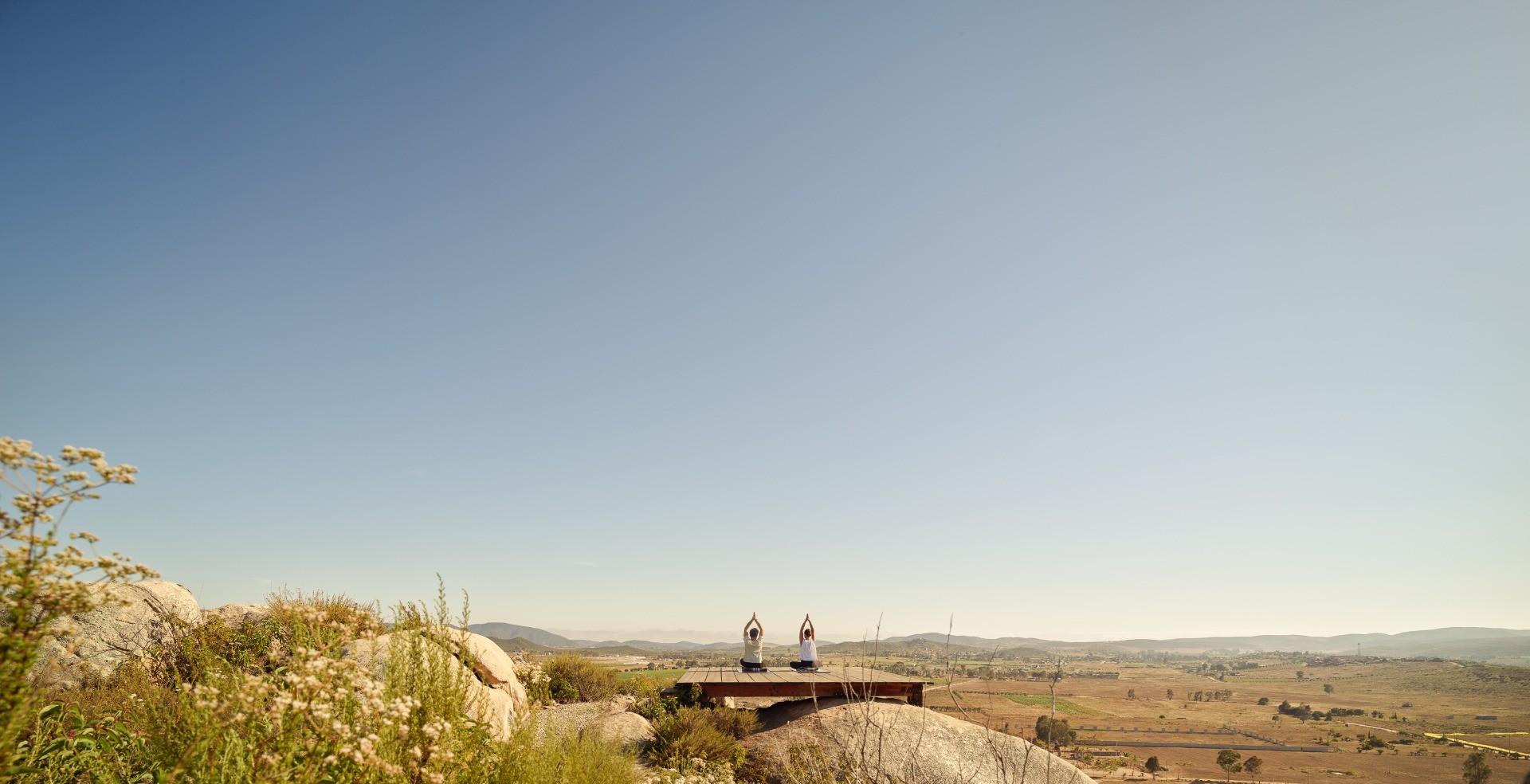 Banyan Tree Veya Valle de Guadalupe 56/91