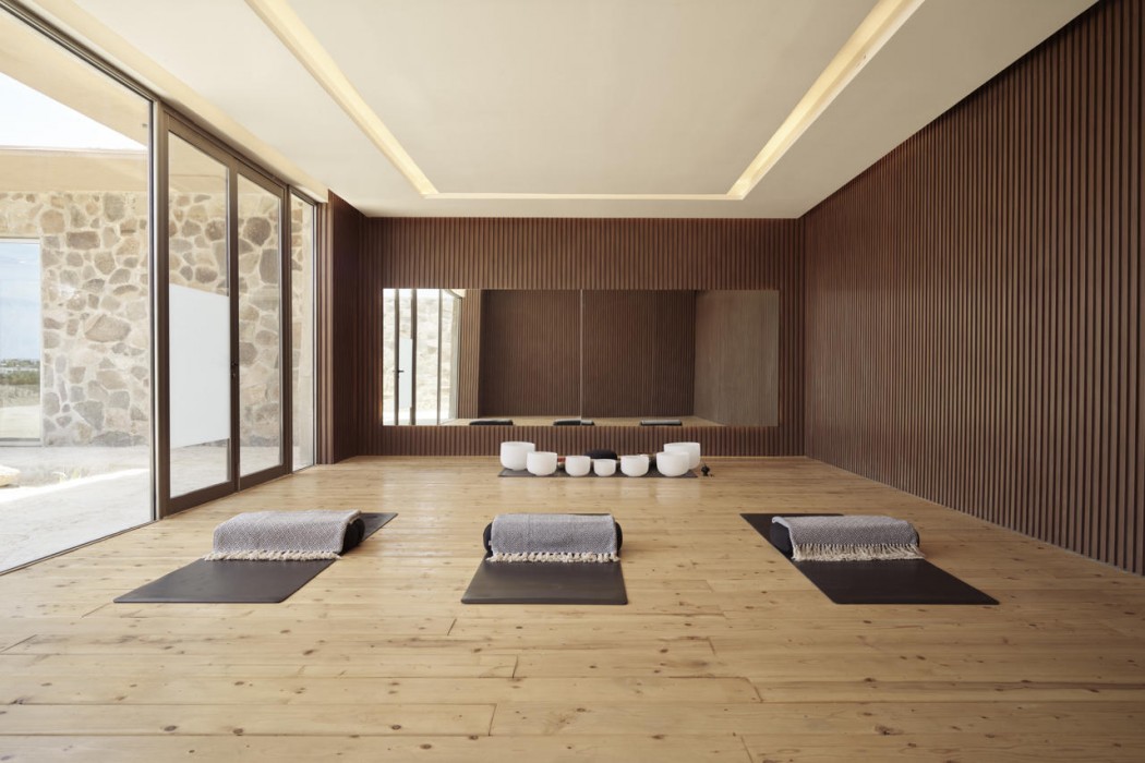 Banyan Tree Veya Valle de Guadalupe 45/91
