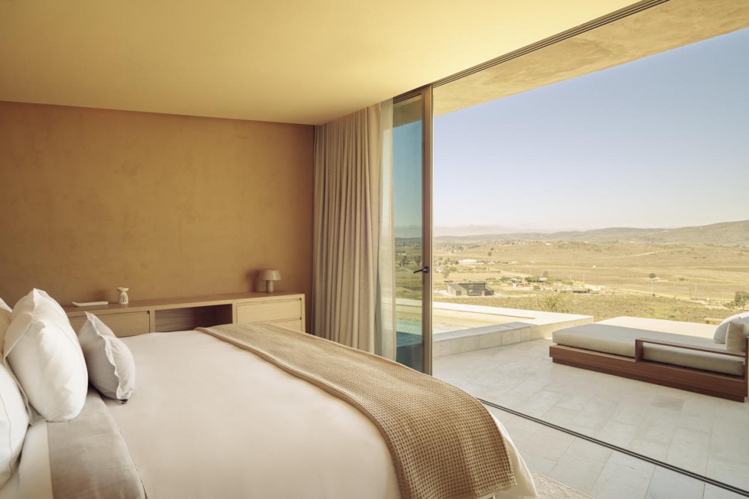 Banyan Tree Veya Valle de Guadalupe 32/91