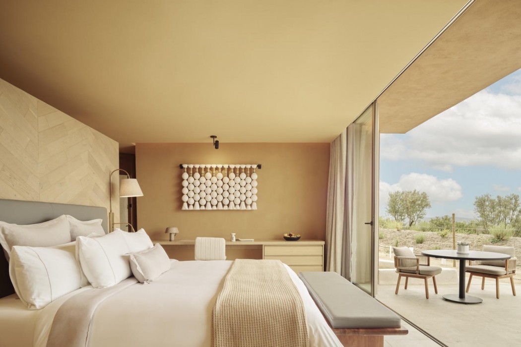 Banyan Tree Veya Valle de Guadalupe 24/91