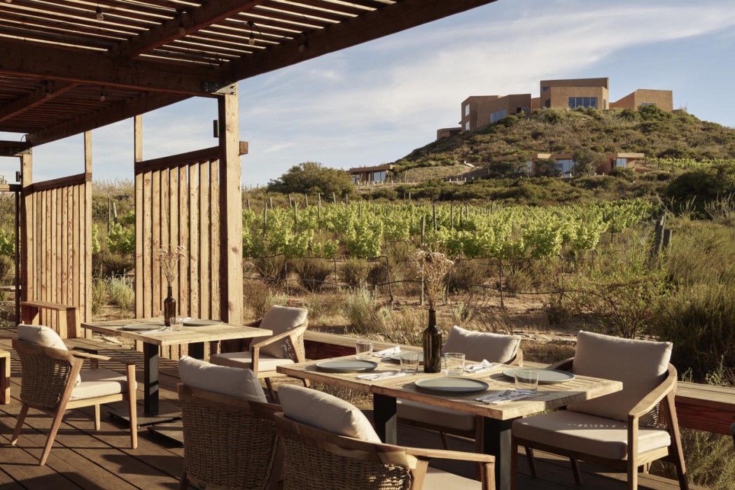 Banyan Tree Veya Valle de Guadalupe 54/91