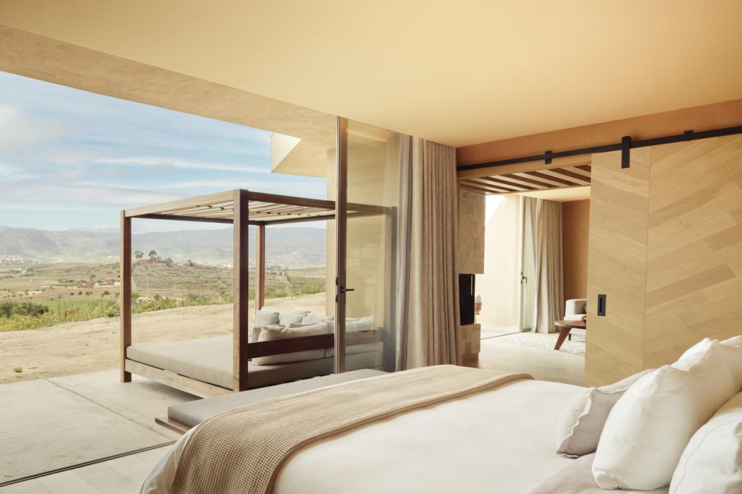 Banyan Tree Veya Valle de Guadalupe 22/91