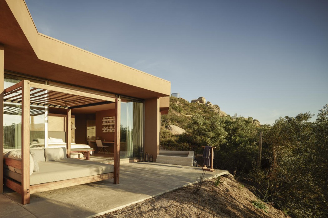 Banyan Tree Veya Valle de Guadalupe 33/91