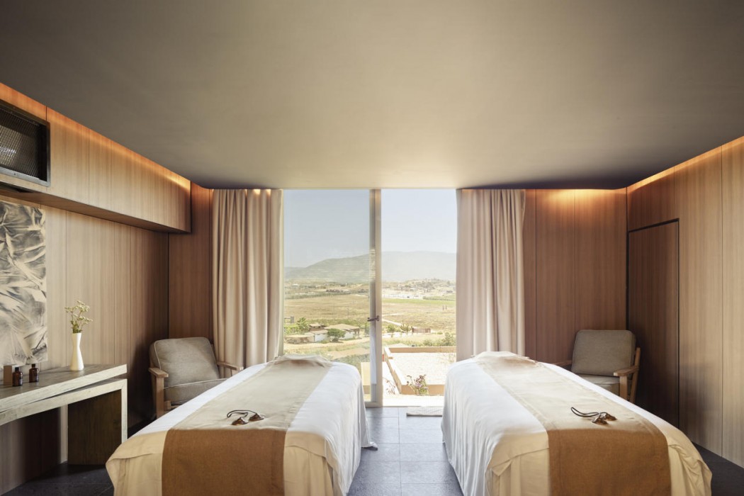 Banyan Tree Veya Valle de Guadalupe 44/91