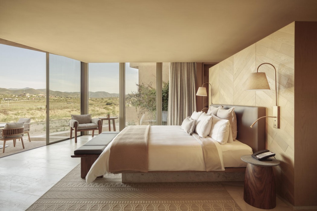 Banyan Tree Veya Valle de Guadalupe 23/91