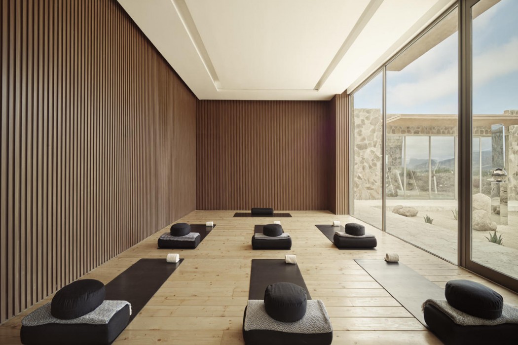 Banyan Tree Veya Valle de Guadalupe 50/91