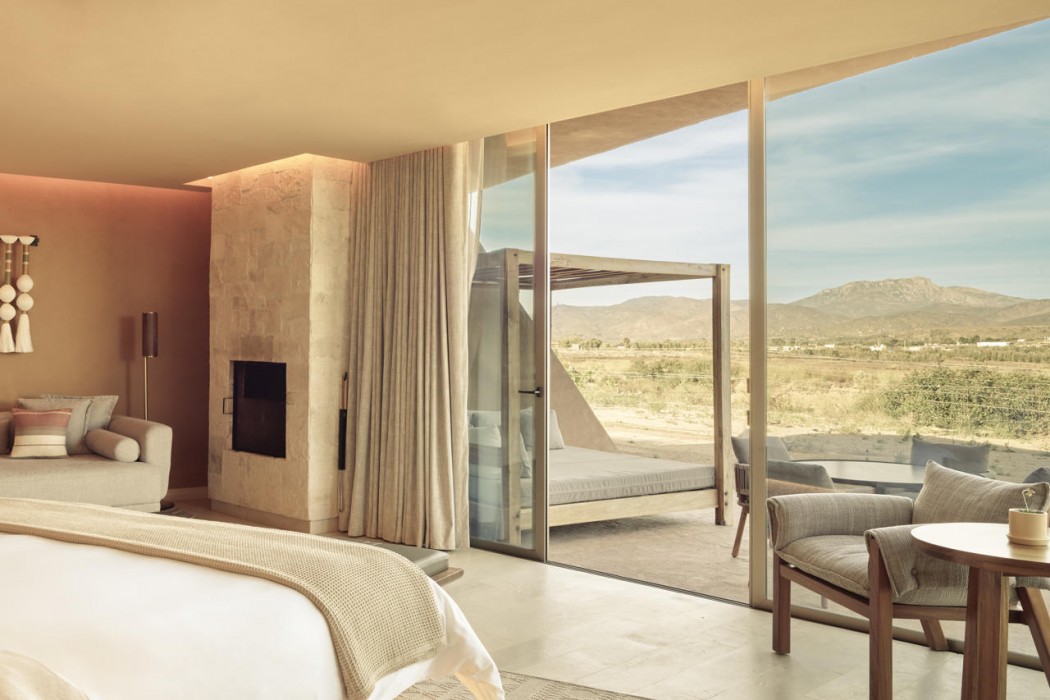 Banyan Tree Veya Valle de Guadalupe 19/91