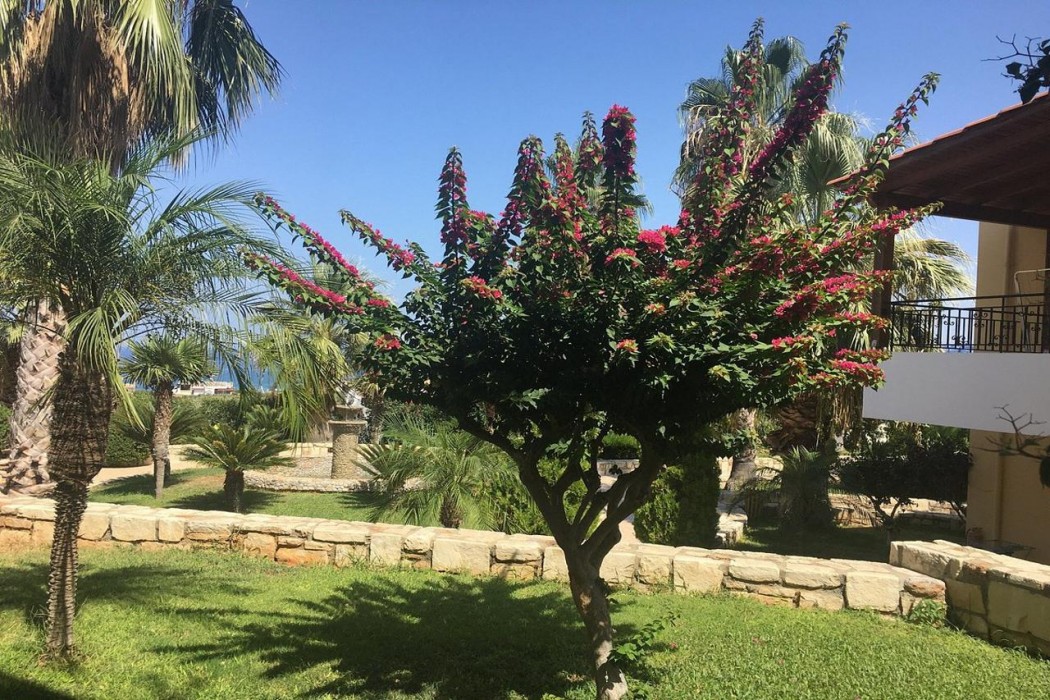 Sylvia Hotel Crete 4/8
