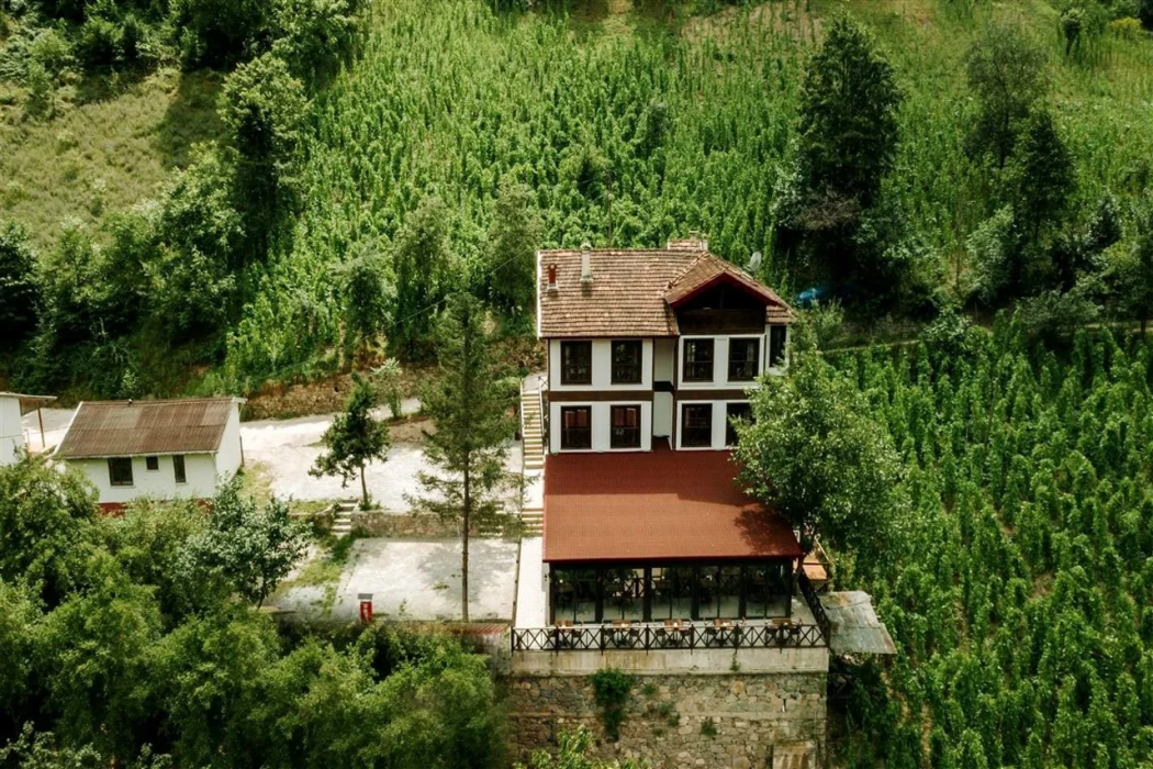 Iskalita Otel 3/32