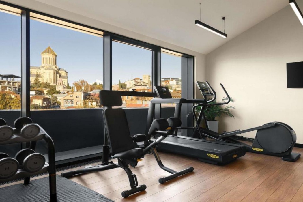 Novotel Tbilisi Center 23/39