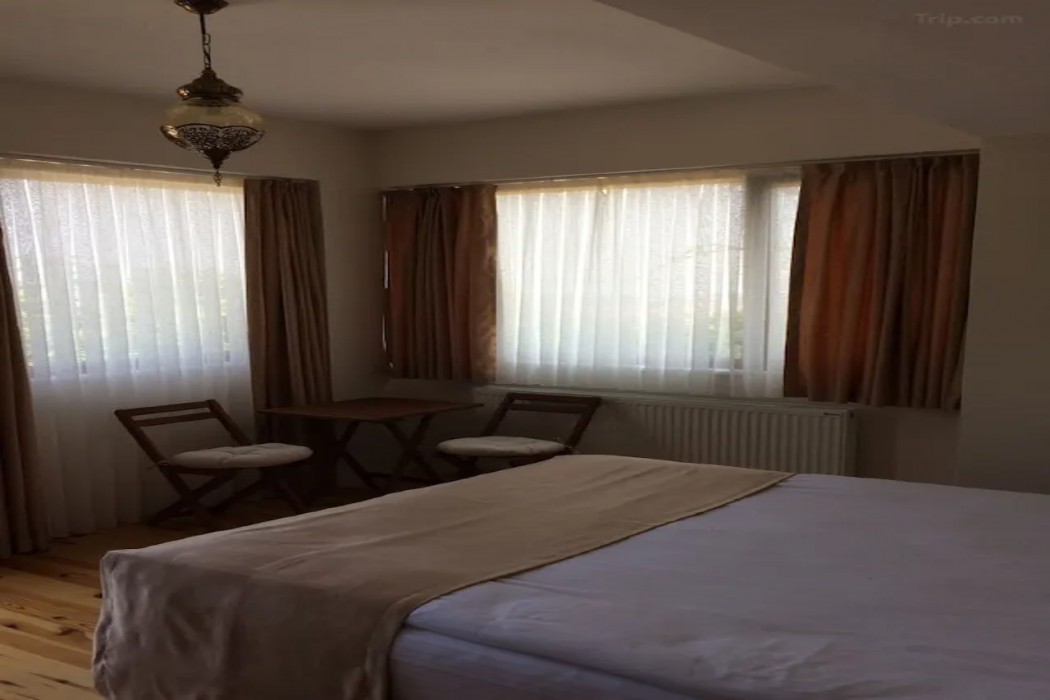 Dilek Konagi 13/60