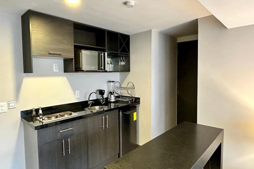 Pent House Masaryk 17 12/29