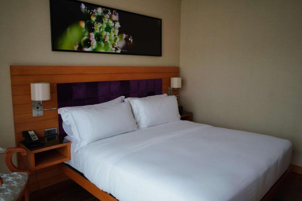 DoubleTree by Hilton Suites Trabzon Yomra 9/62