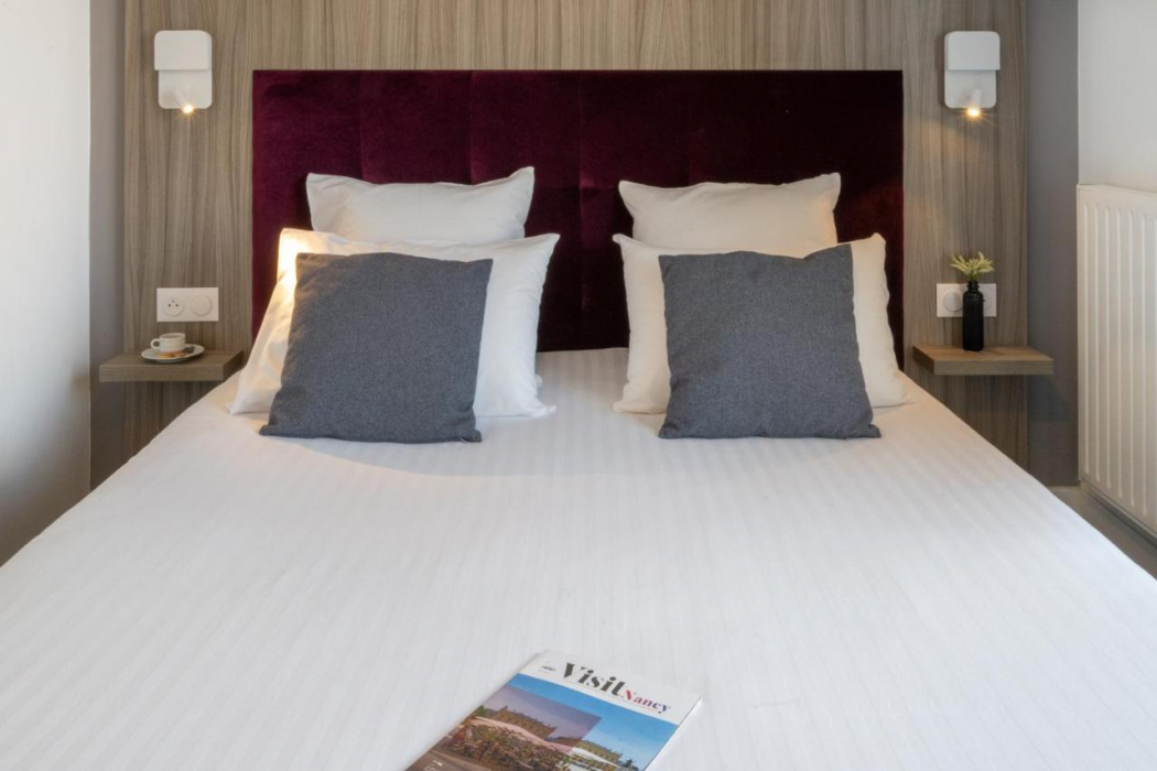 Nemea Appart Hotel Grand Coeur Nancy Centre 6/44