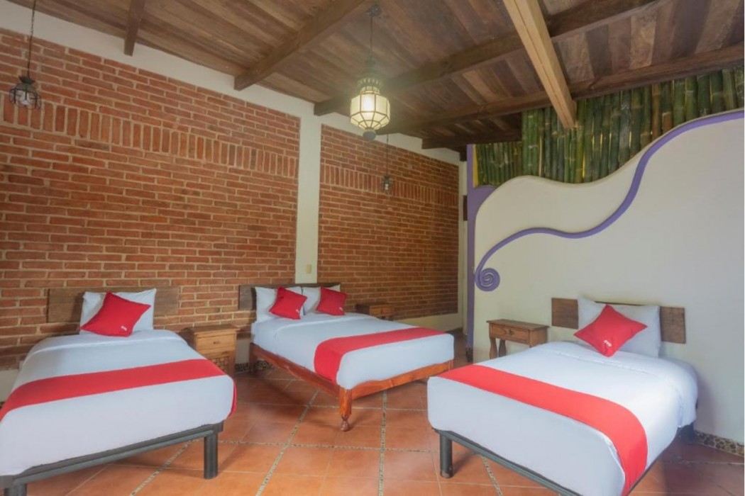 OYO Hotel Coyopolan 14/60