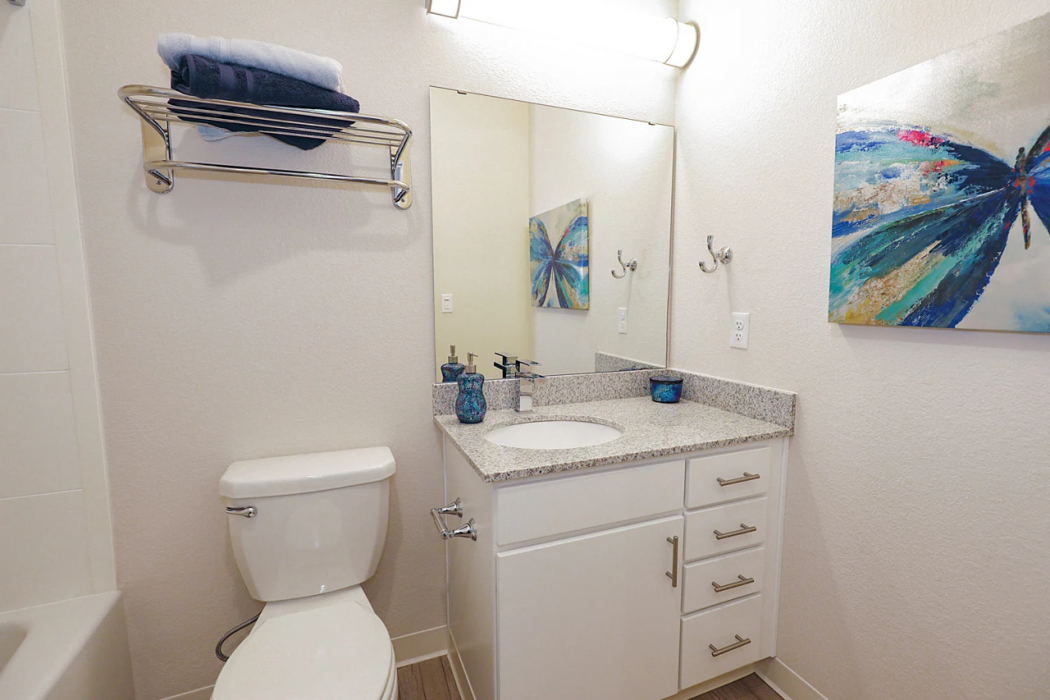 WaterWalk Extended Stay by Wyndham Kansas City - Overland Pk 6/61