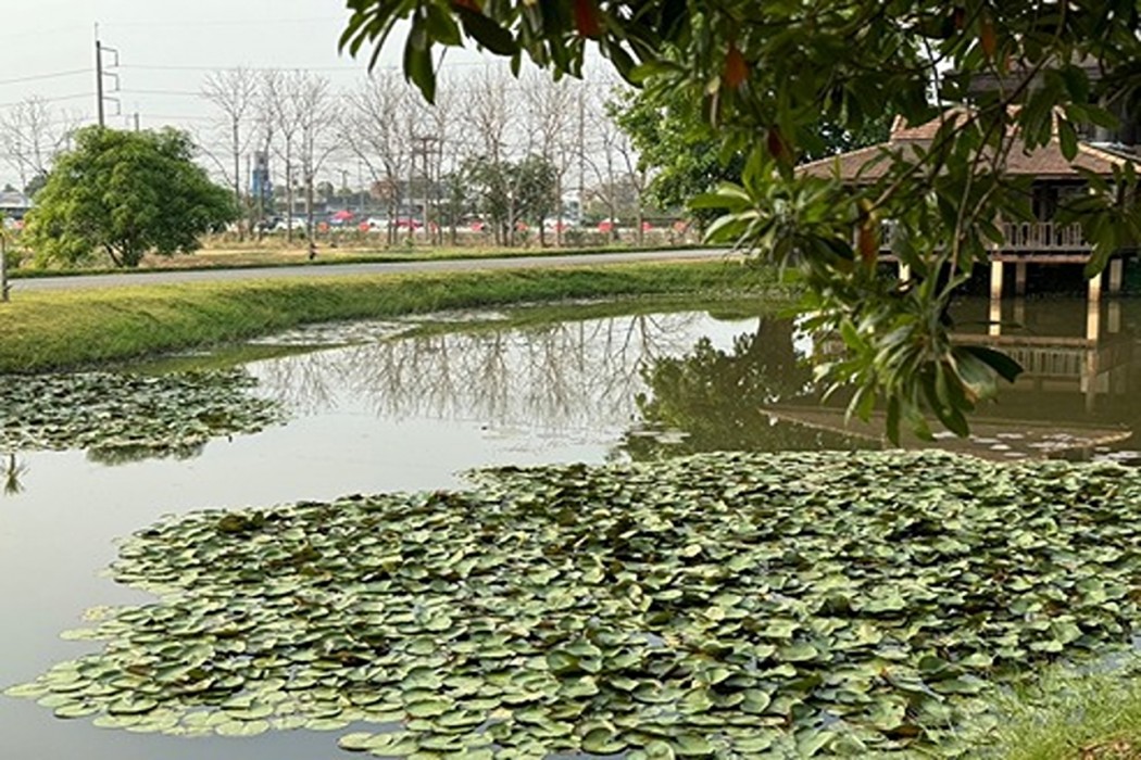Karina Resort Chiang Mai by ZUZU 18/132