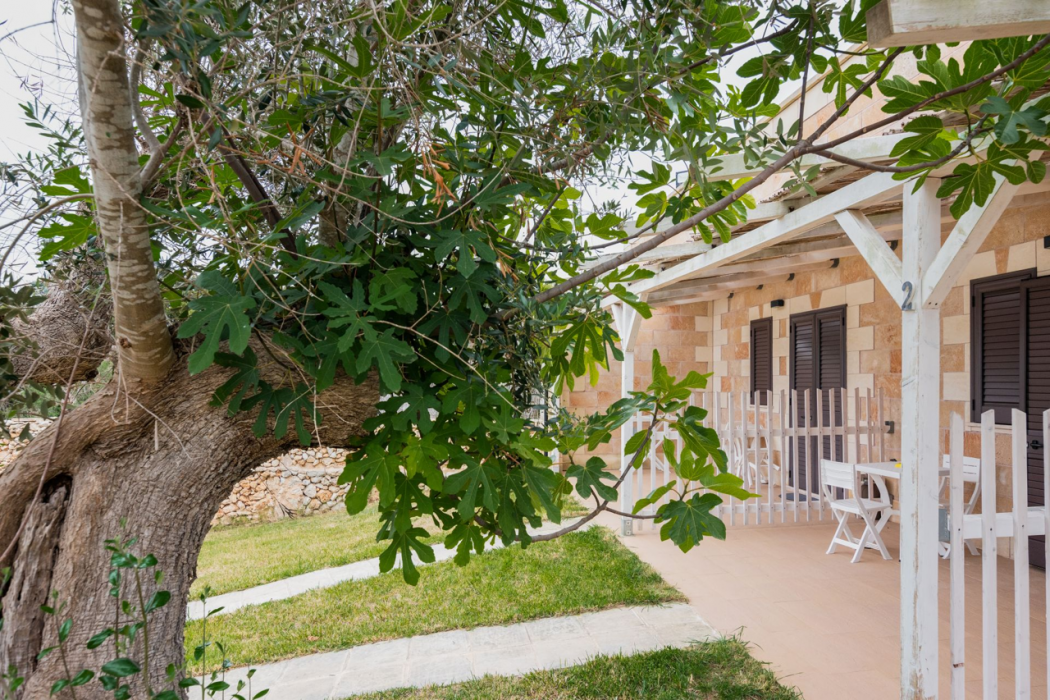Tenuta San Lorenzo 6/59