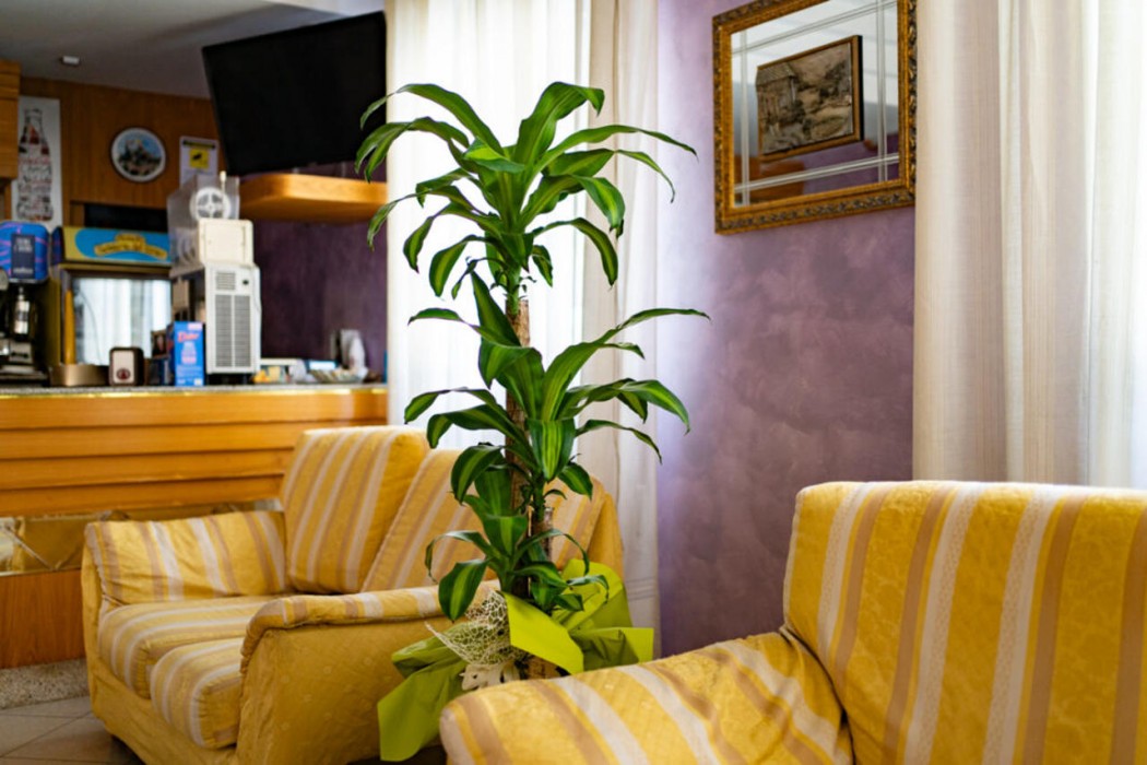 Beaurivage 14/25