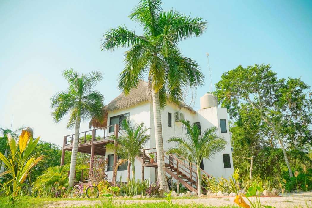 Royal Palm Bacalar 8/73