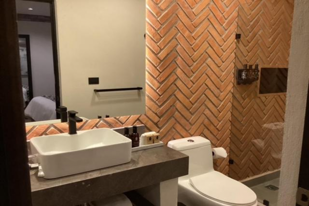 Esplendor by Wyndham San Luis Potosi Monarca 13/54