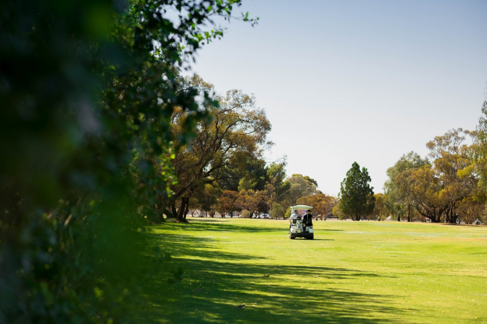 Big River Golf and Country Club 33/63