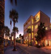 The Palms Hotel 1/55