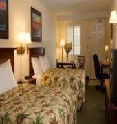 The Palms Hotel 10/55