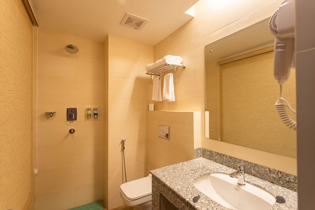 Hotel Crystal Pashupati 25/67