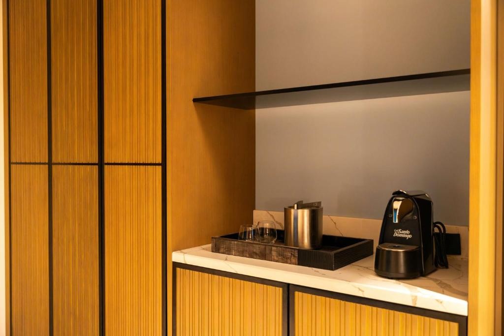 Hotel Santiago, Curio Collection by Hilton 16/59