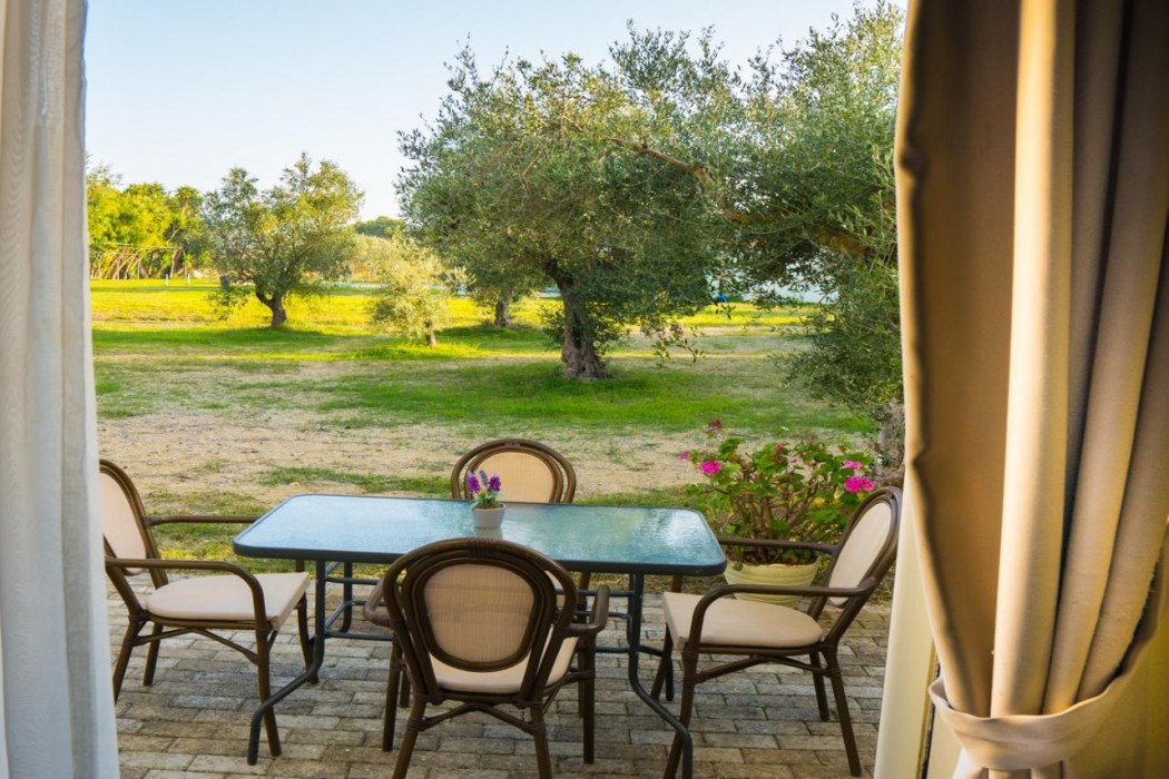 Olive Trees Garden 19/27