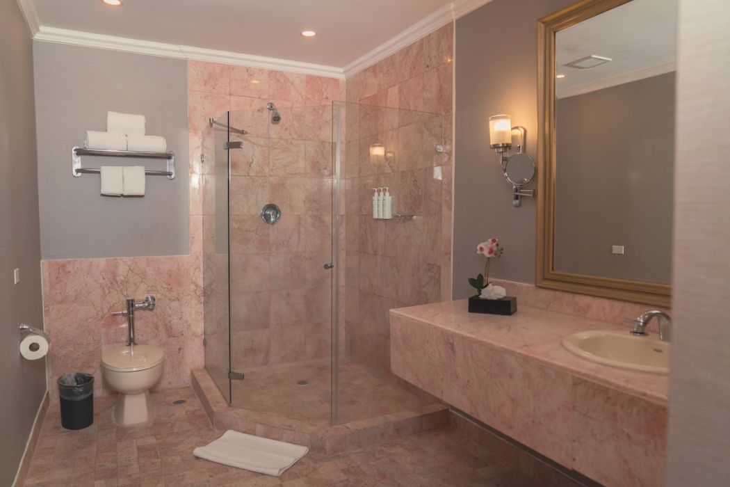 Waymore Hotel Spa & Casino 40/111