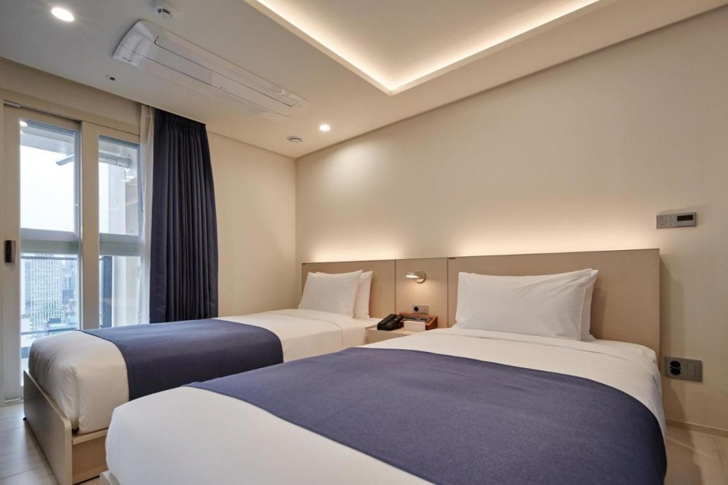 Hotel The Botanik Sewoon Myeongdong 11/65