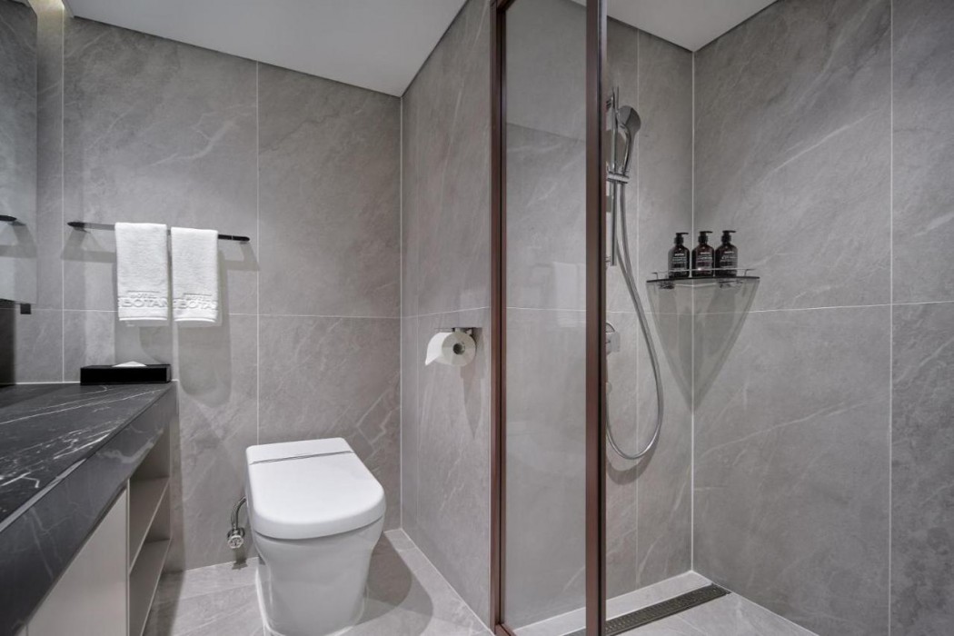 Hotel The Botanik Sewoon Myeongdong 23/65