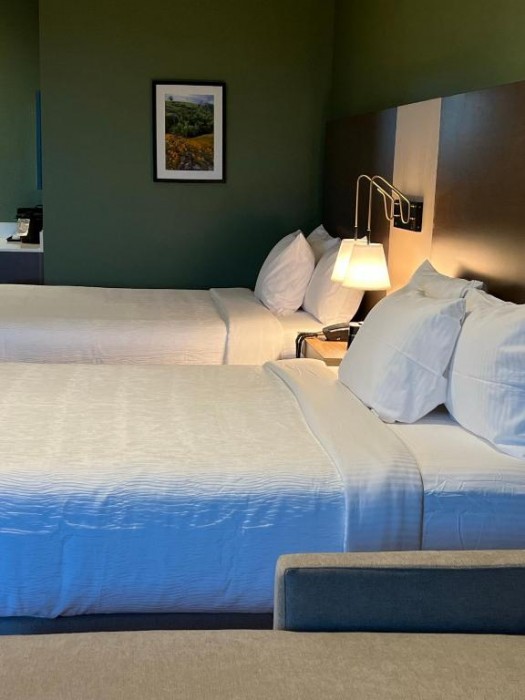 La Quinta Inn and Suites by Wyndham Lincoln 25/84