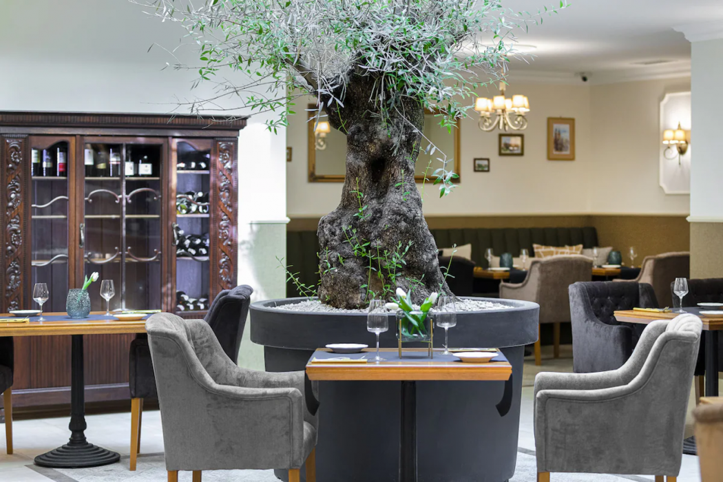 Ventus Rosa Boutique Aparthotel 6/62